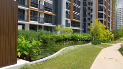 Coco Palms (D18), Condominium #220874711